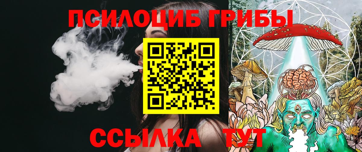 Галлюциногенные грибы Psilocybine cubensis  Вход с VPN  Кувандык 