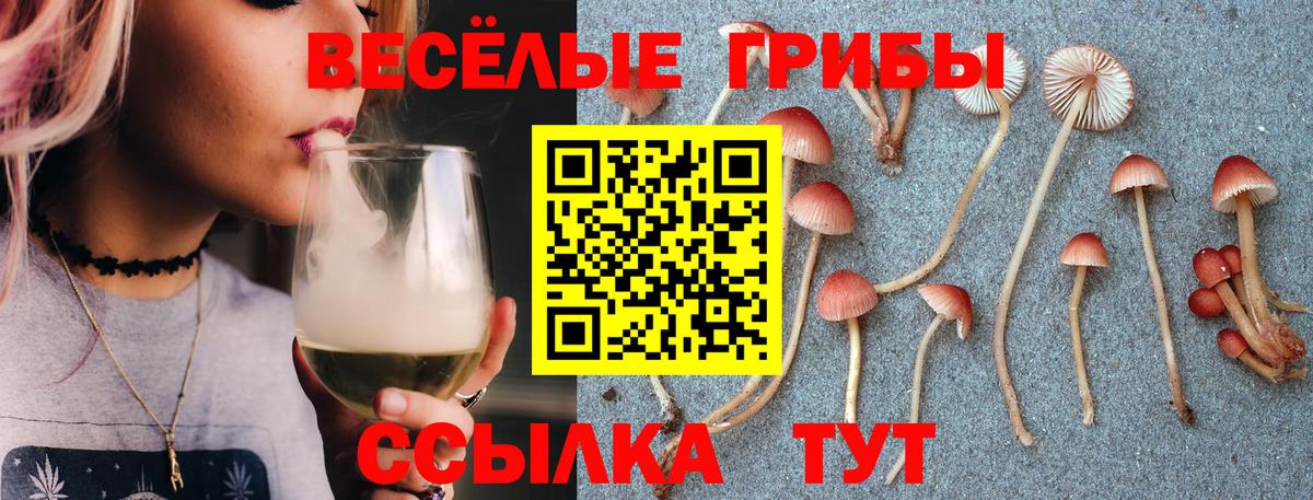 ГАШ  Кувандык  Мефедрон   Вход с VPN  Конопля  Кокаин 
